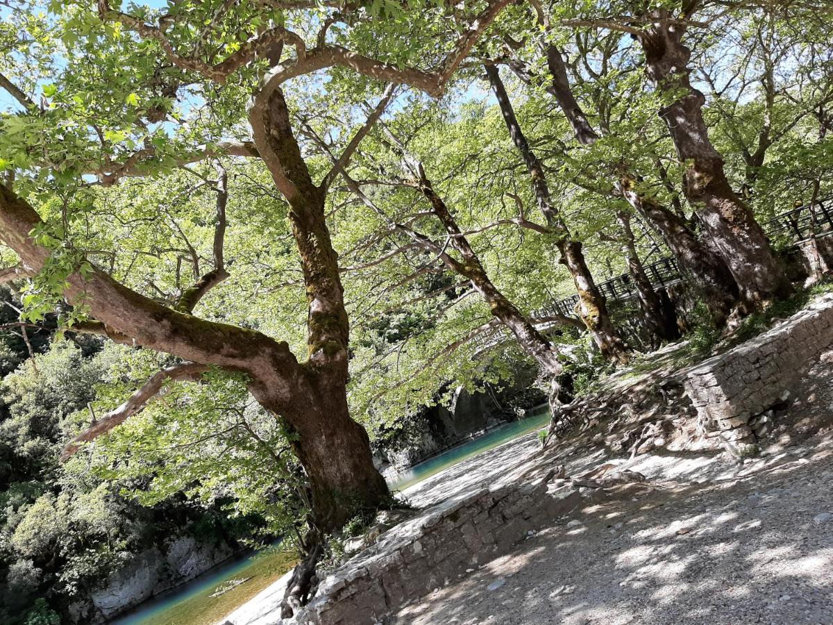 Lichovo Otel Papingo Dış mekan fotoğraf
